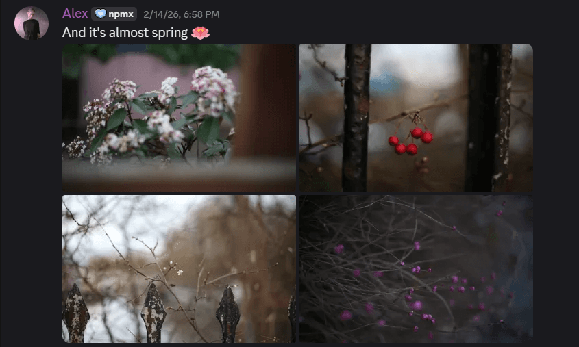 Discord message from a user saying 'And itβs almost spring πΈ' with a grid of four photos showing early spring nature: blooming flowers, red berries on branches, bare branches near a fence, and small pink blossoms against a blurred background.